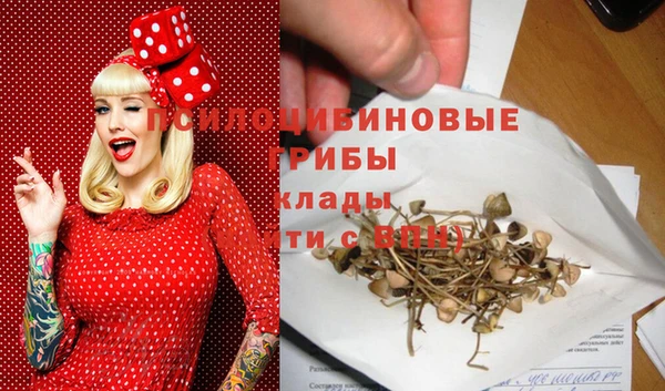 a pvp Арсеньев