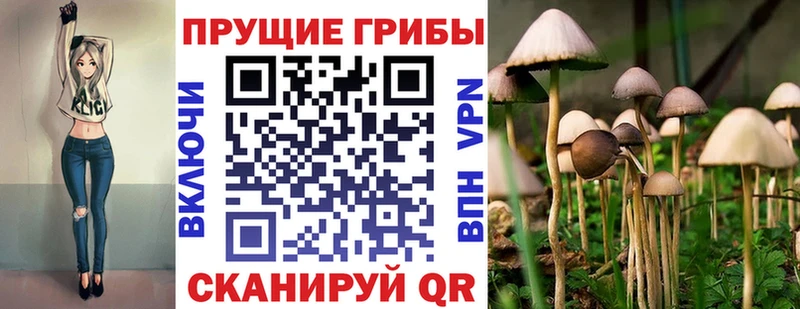 Псилоцибиновые грибы мицелий  blacksprut ONION  дарк нет наркотические препараты  Североморск 